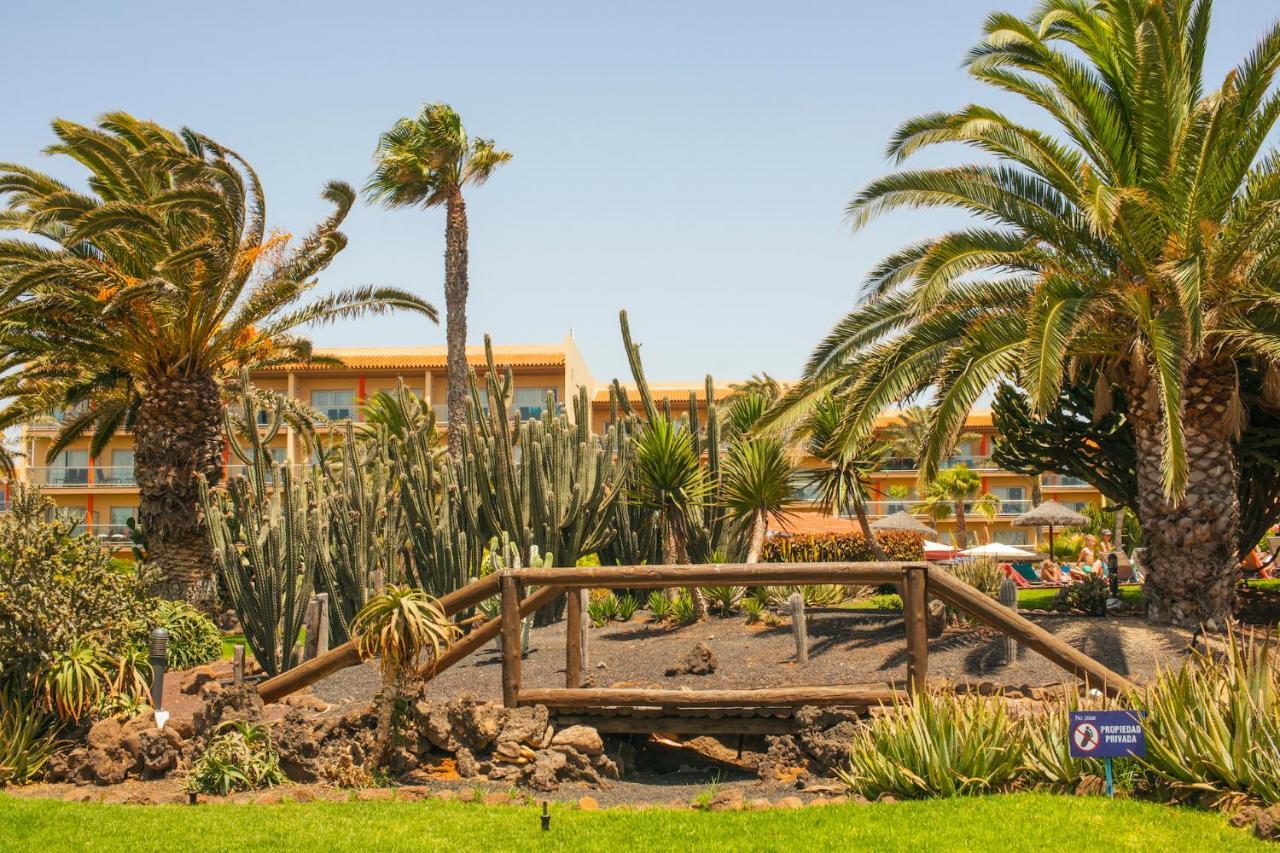 Appartement Castillo Mar 87 à Caleta de Fuste Extérieur photo
